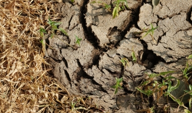 Wsparcie inwestycji w środki zapobiegawcze, których celem jest ograniczenie skutków prawdopodobnych klęsk żywiołowych, niekorzystnych zjawisk klimatycznych i katastrof