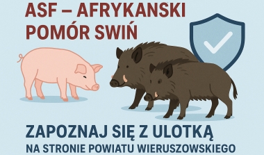 Zagrożenie wystąpienia afrykańskiego pomoru świń (ASF) - informacja KOWR